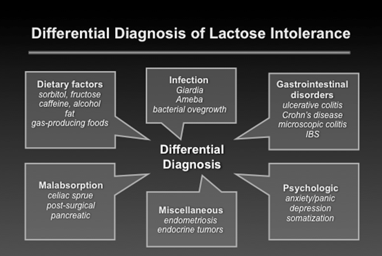 Lactose intolerance research paper